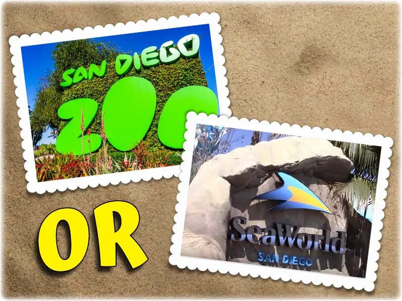 Which Is Better, San Diego Zoo Or Seaworld? – Sandiegoing