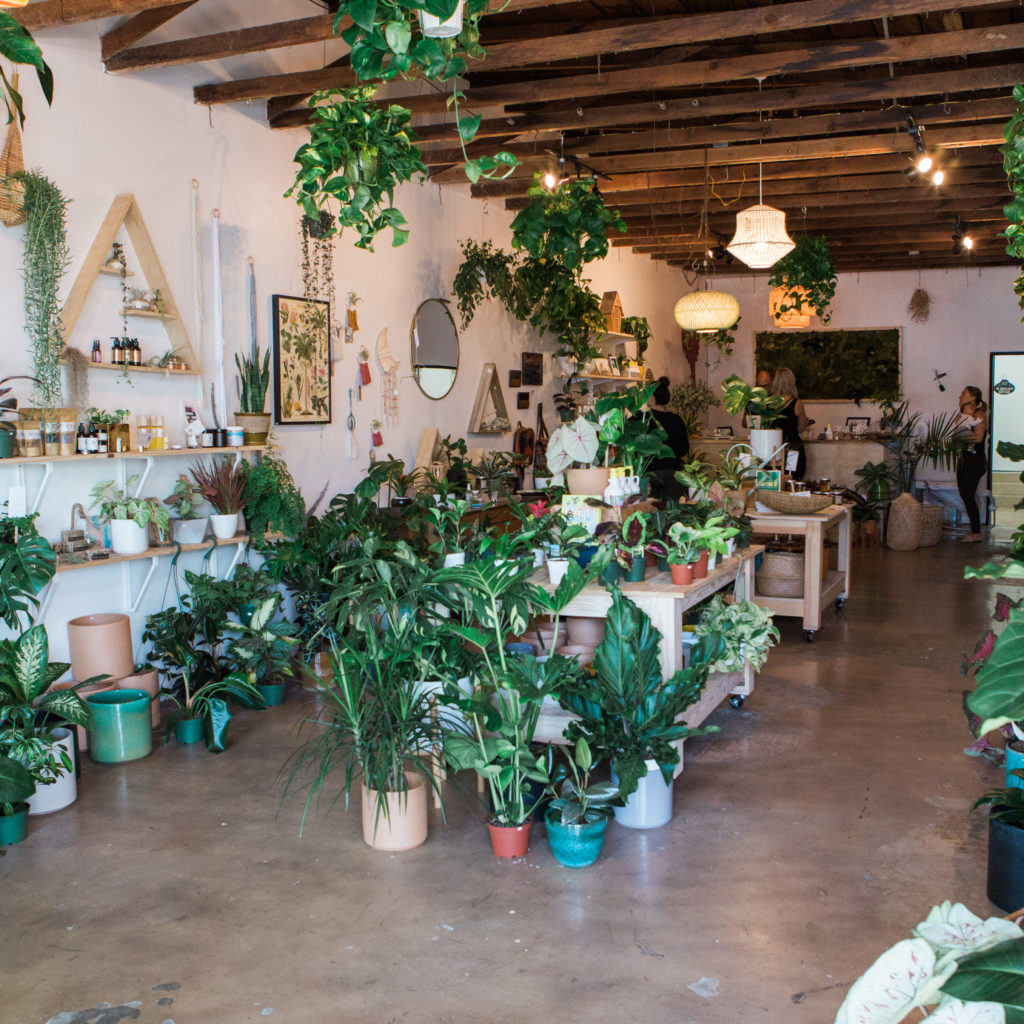 Normal Heights/City Heights San Diego Life. Changing.