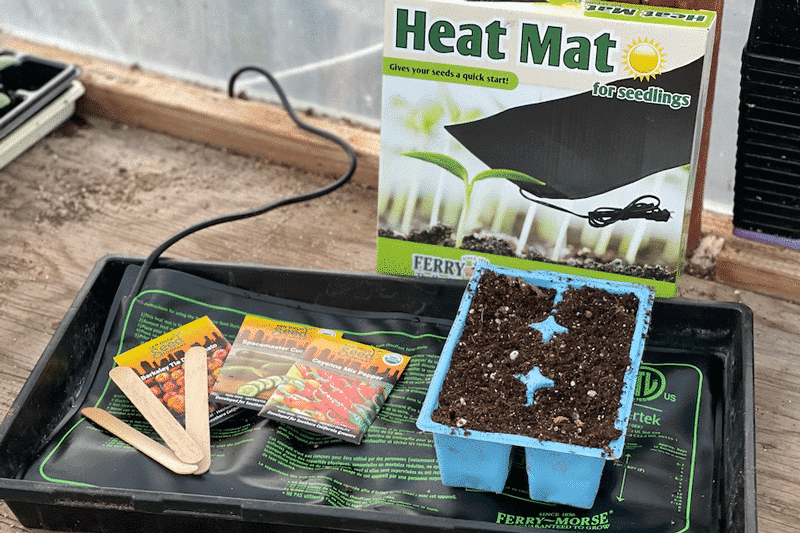 Growing Peppers from Seeds — San Diego Seed Company