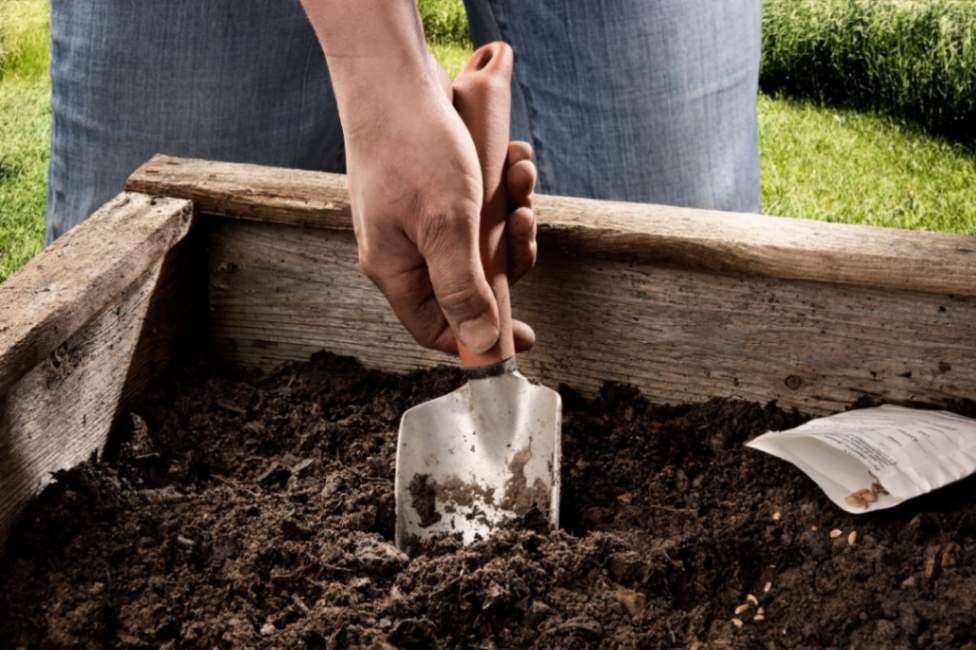 Organic Raised Bed Soil Recipe — San Diego Seed Company