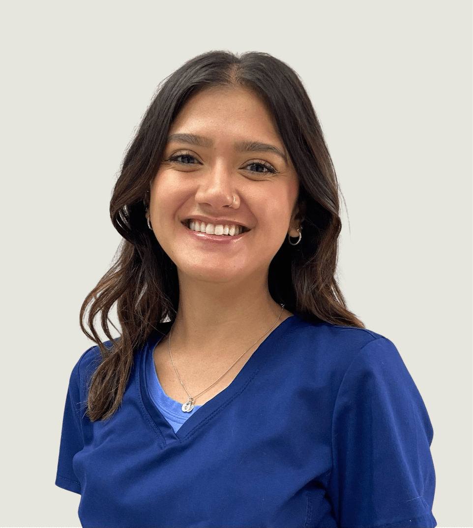 Our Vets Black Mountain Animal Hospital