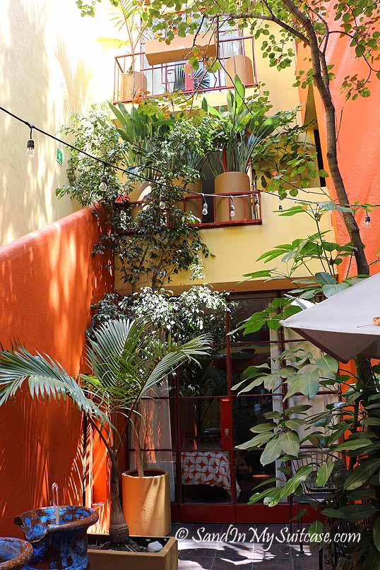 Best B&B in Mexico City? Red Tree House is hard to beat Sand In My