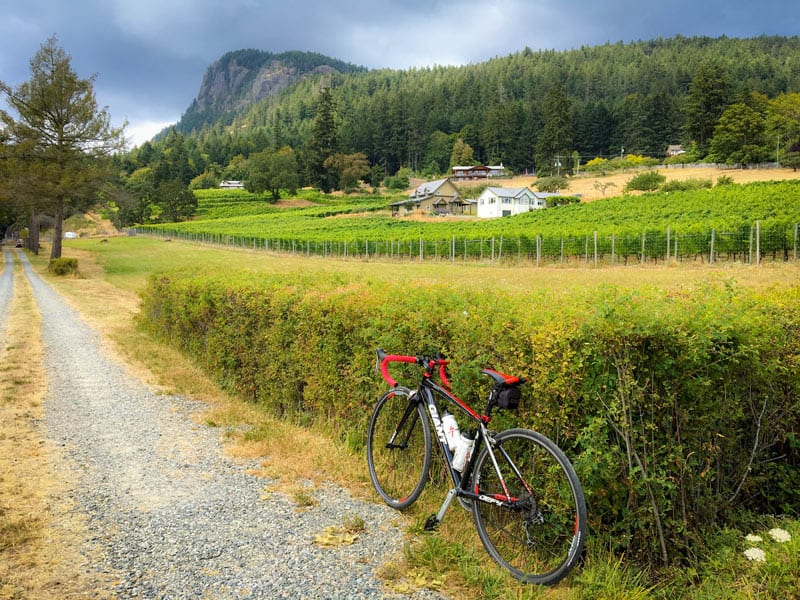 18 Magical Things to Do on Salt Spring Island Sand In My Suitcase