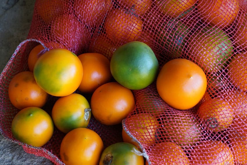 17 Exotic Types of Fruit in Mexico You Must Try Sand In My Suitcase