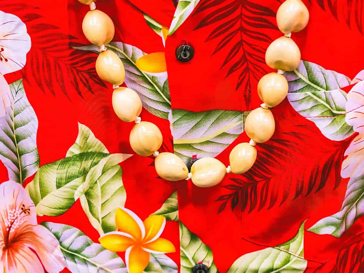 17 Best Souvenirs From Hawaii (+ Authentic Hawaiian Gifts) Sand In My