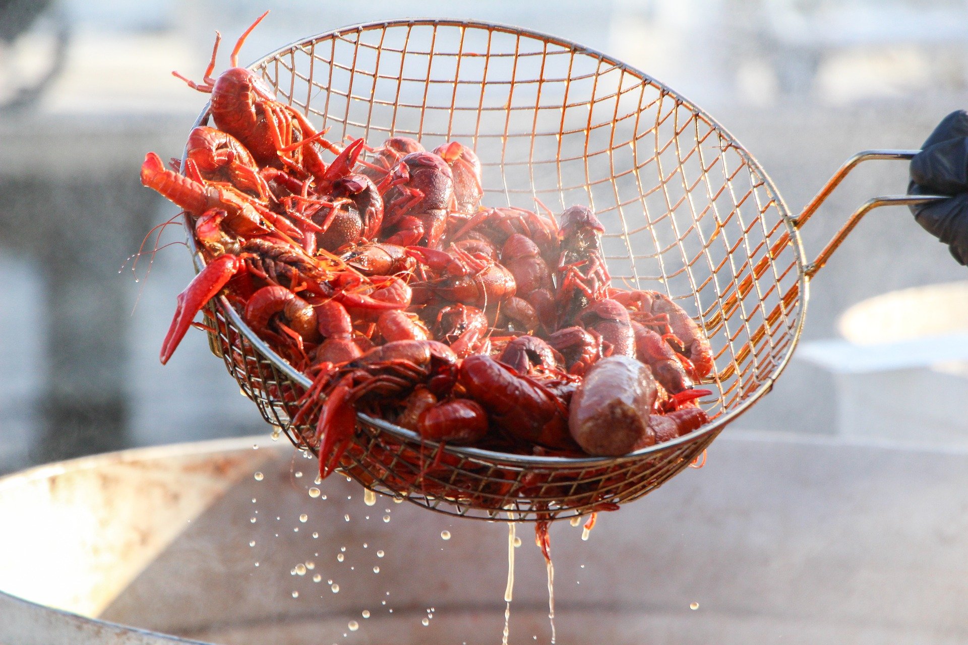 Cravin' Crawfish? Come to the Destin Boys and Girls Club Crawfish Boil