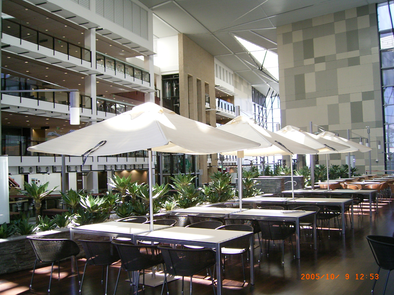 Woolworths Head Office