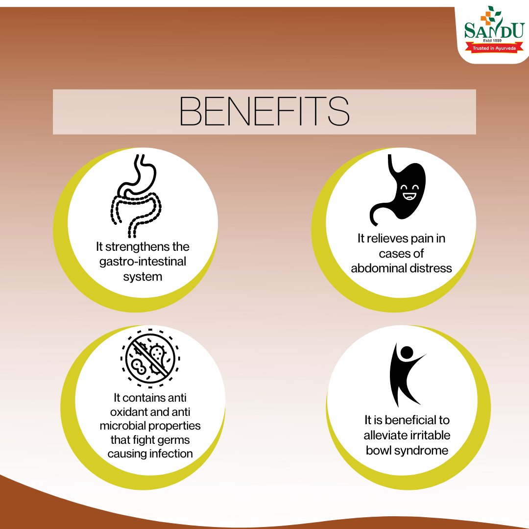 Buy Ayurvedic Remedy to Cure Diarrhoea Sandu Kutajarishta