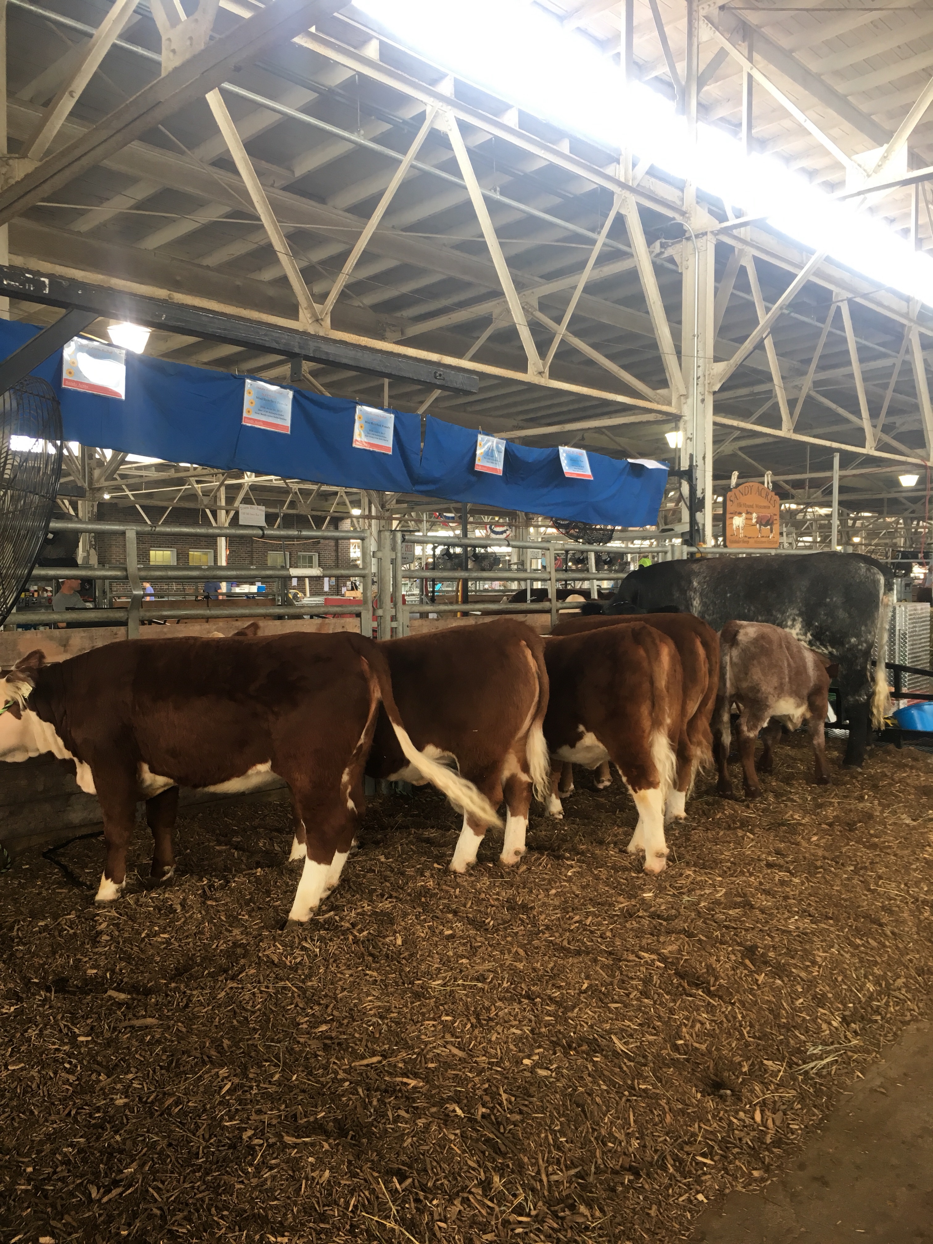 img_3072 Sandy Acres