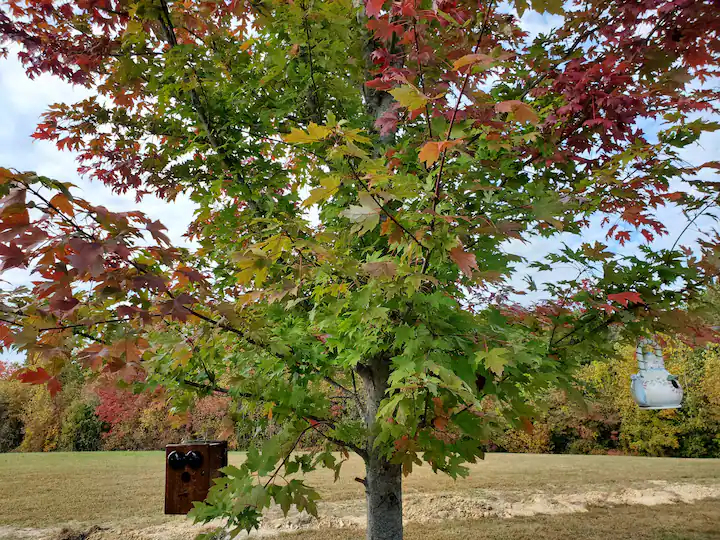 Sandy Acres Cabin Rentals, Liberty, KY, Lake Cumberland