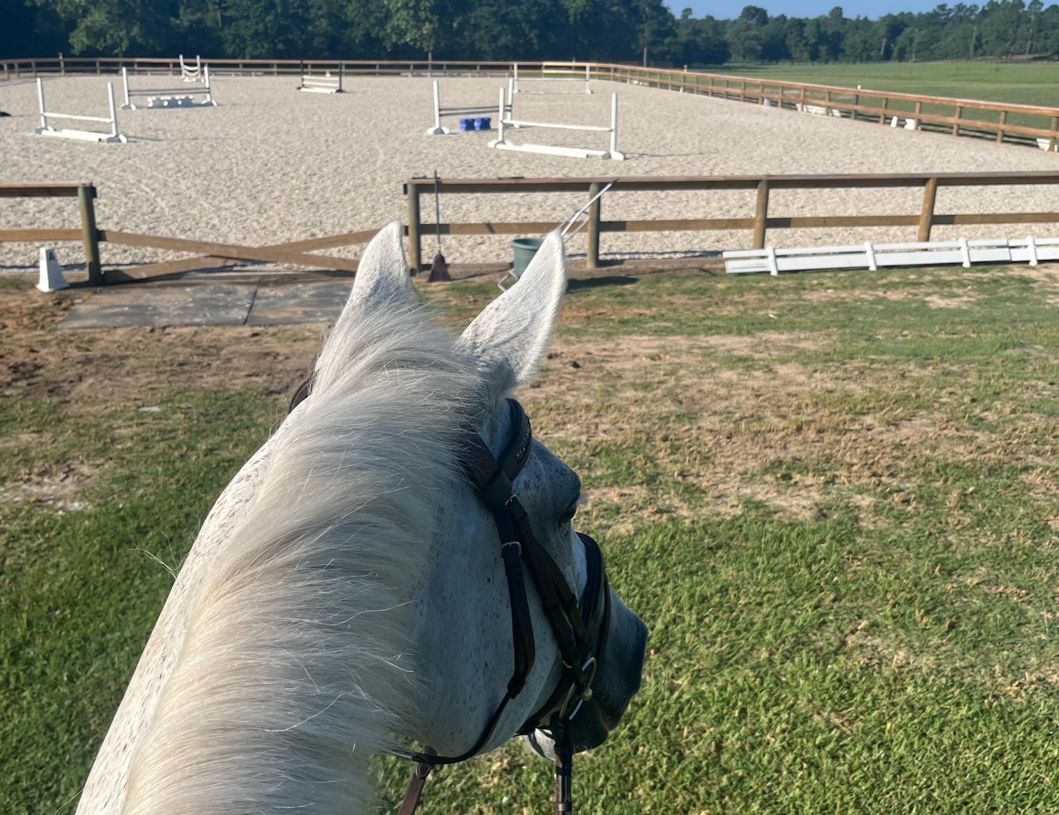 Horseback Riding Lessons Sandy Bottom Farm