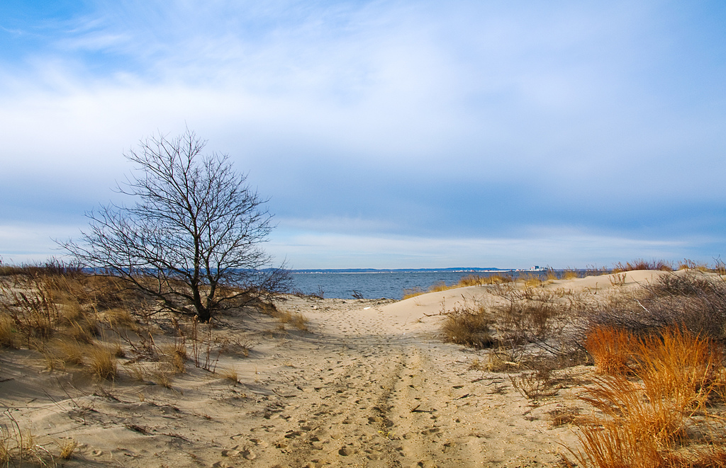 Photo Gallery of Sandy Hook Retreat Weekly Summer Vacation Rental in