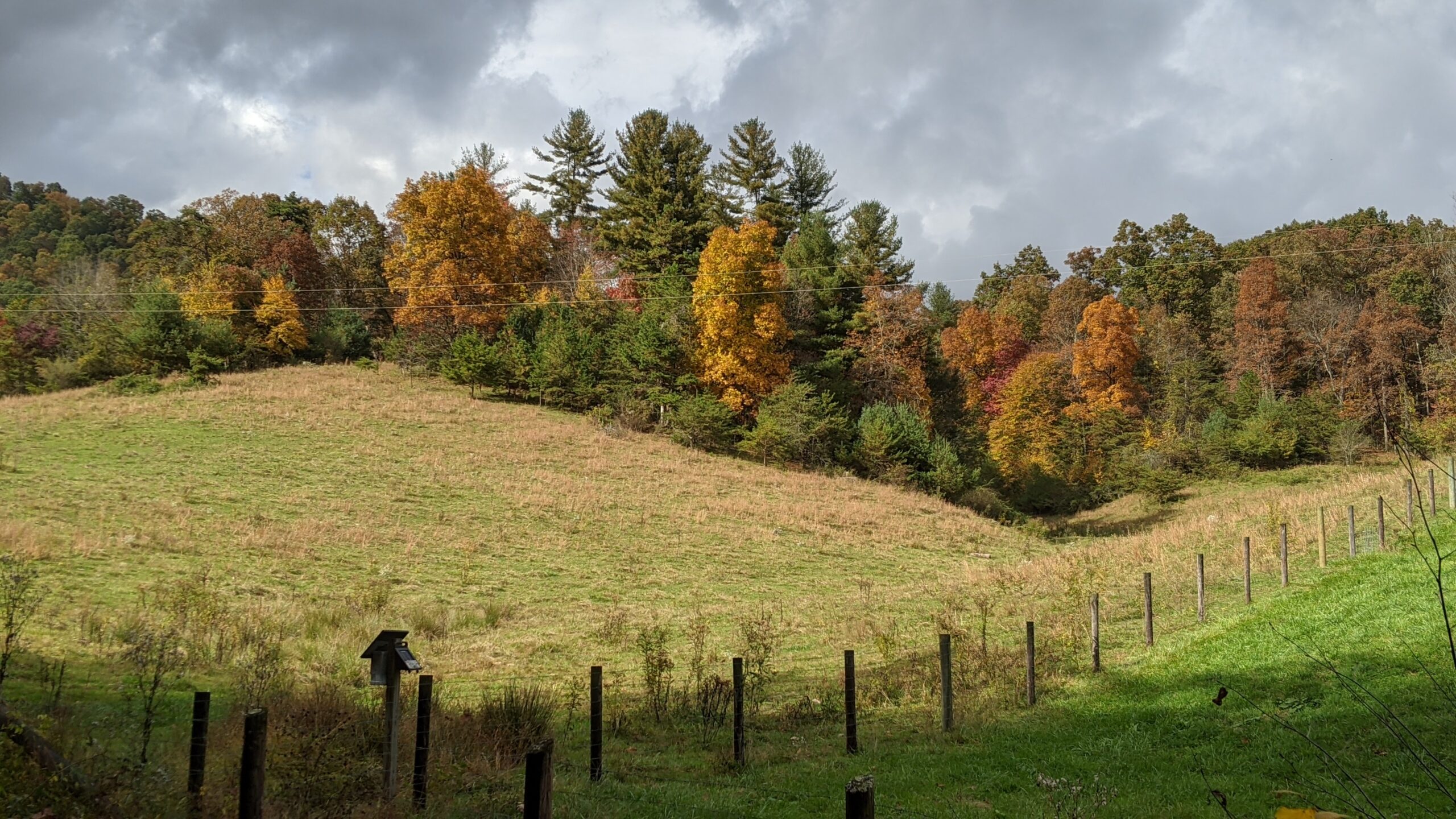 Sandy Mush Community Center Leicester NC
