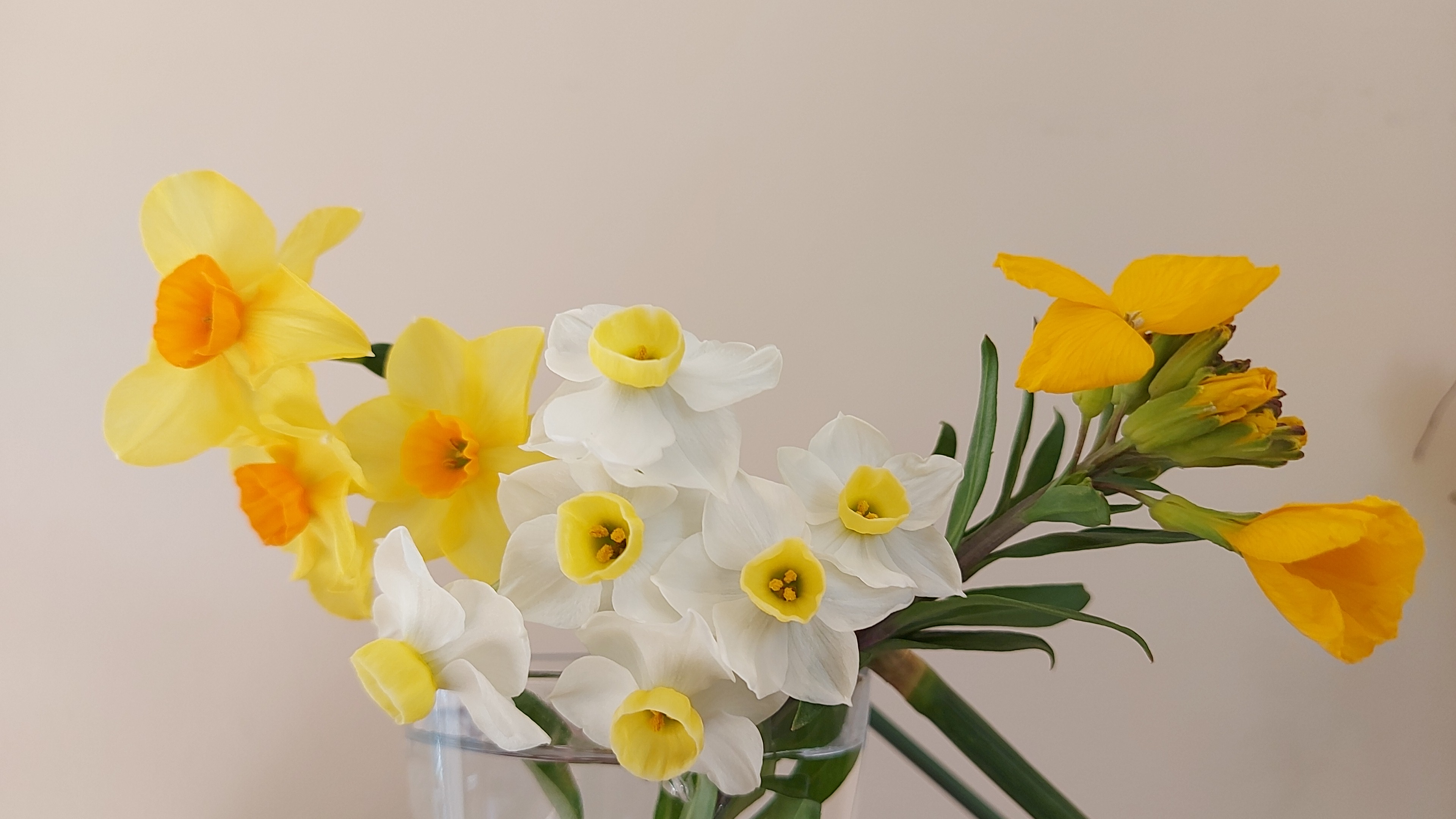 A wall flower ROADS WE TRAVEL AND DESTINATIONS REACHED