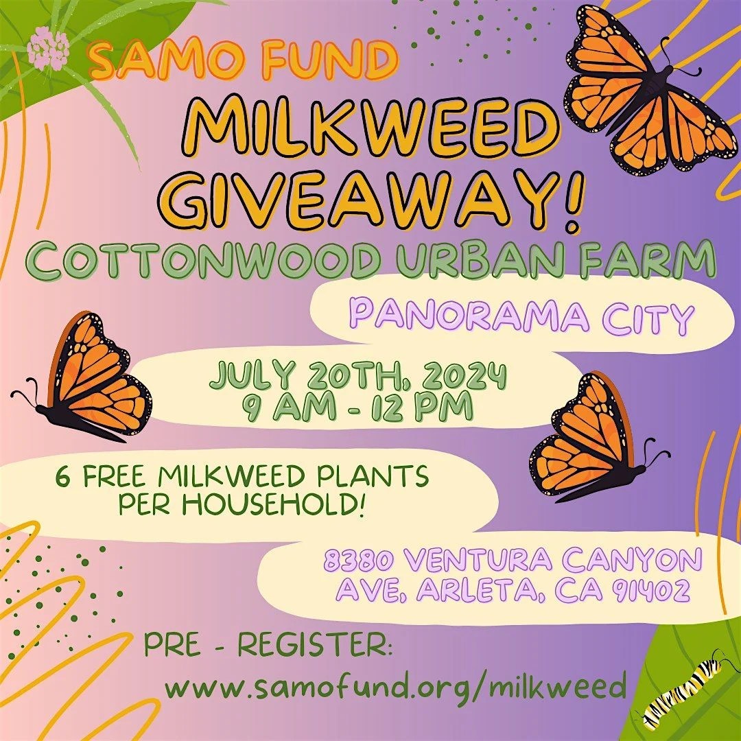 Panorama City Free Milkweed Giveaway at Cottonwood Urban Farm! The