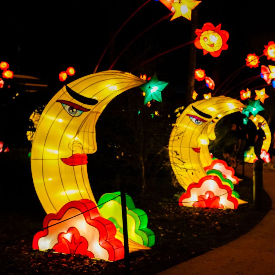 Tickets, Packages, Hotels for Asian Lantern Festival Into the Wild Tours