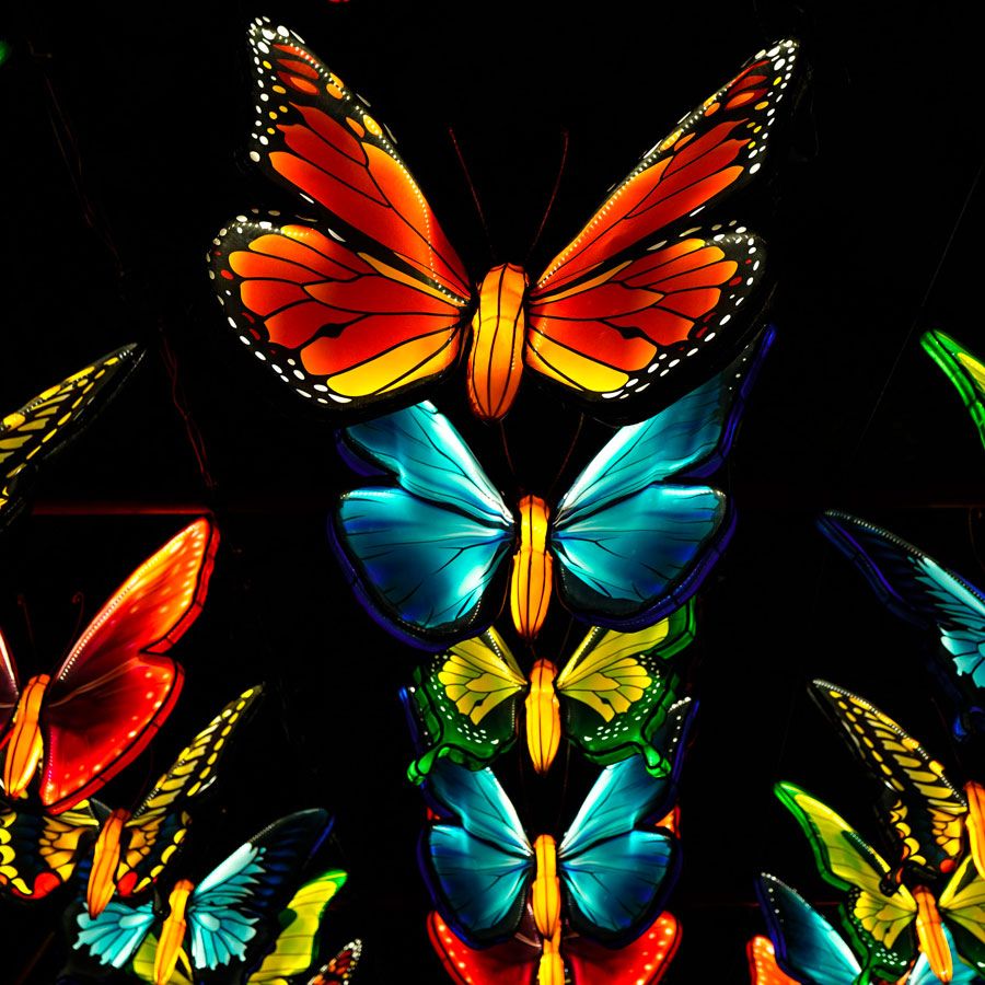 central florida zoo lantern festival 2023 Tickets, Packages, Hotels for Asian Lantern Festival Into the Wild Tours