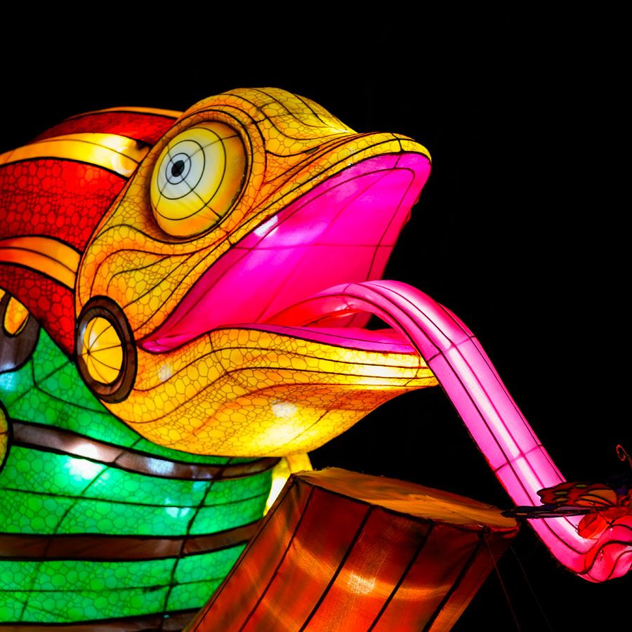 central florida zoo lantern festival 2023 Tickets, Packages, Hotels for Asian Lantern Festival Into the Wild Tours