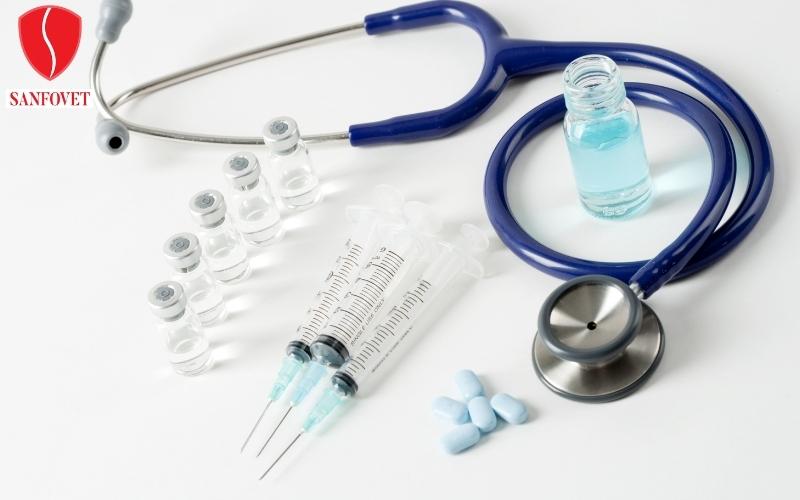 Veterinary medicine exporter Everything you need to know about