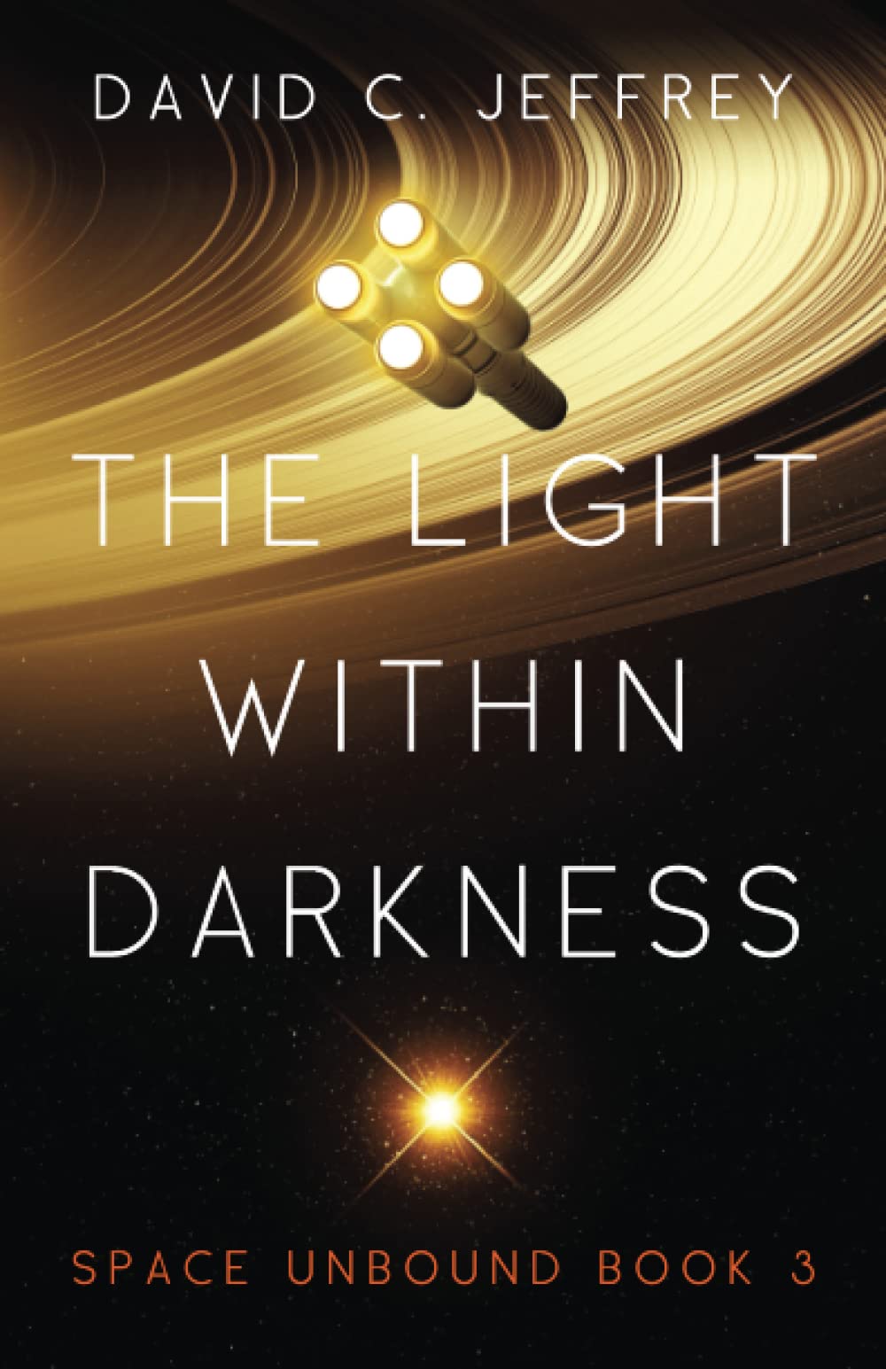 The Light Within Darkness San Francisco Book Review