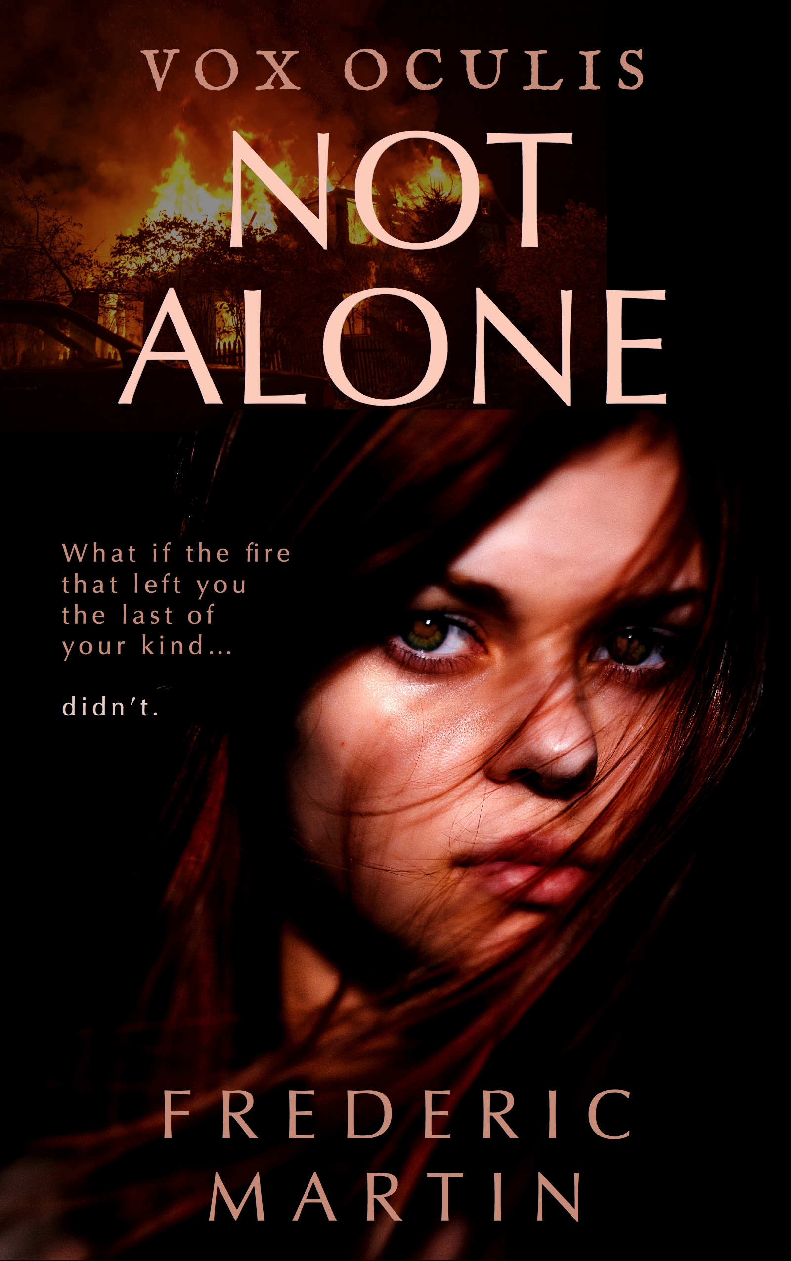 Not Alone San Francisco Book Review