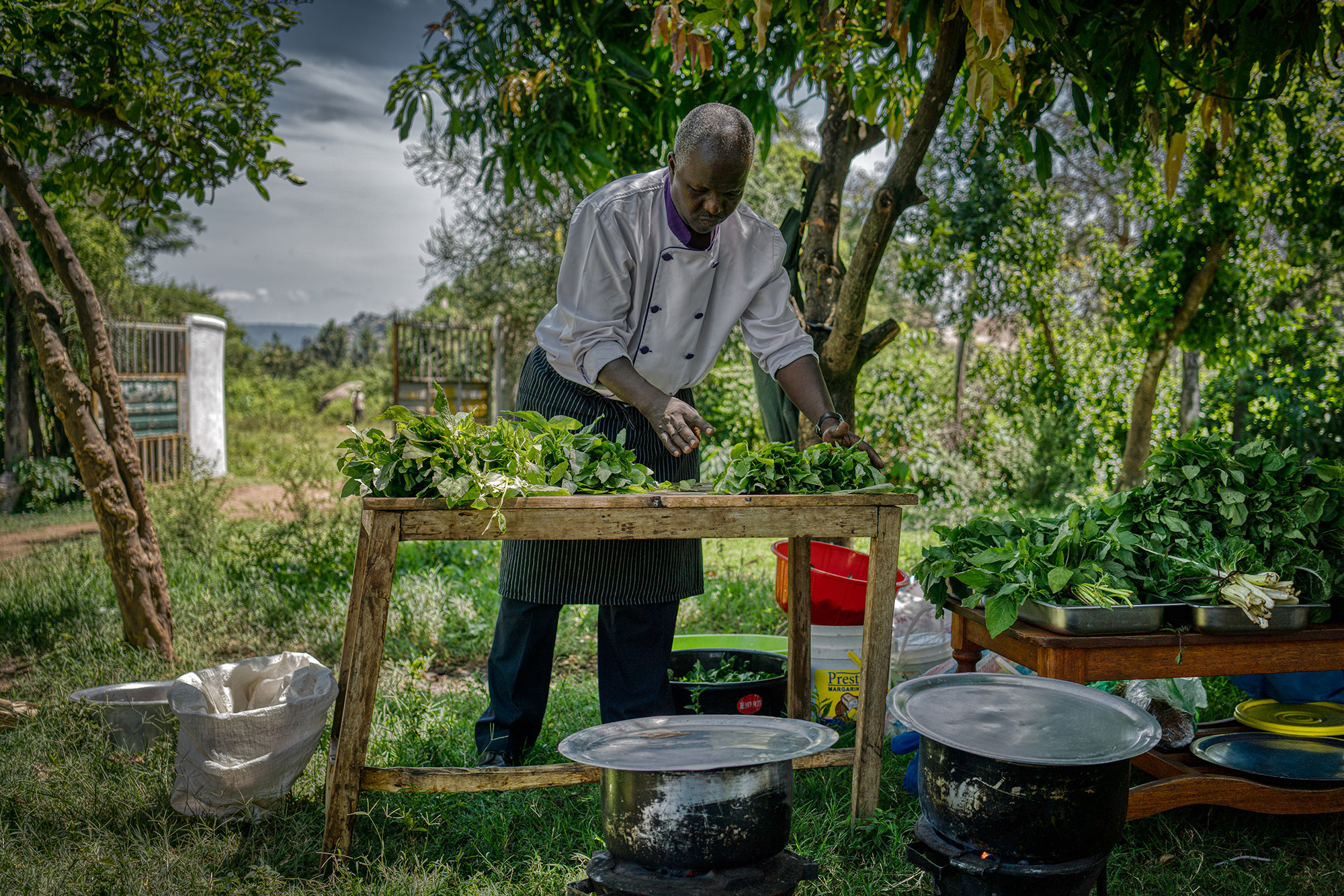 SANGOKenya Sustainable Agriculture, Nutrition, and Growth Opportunities.