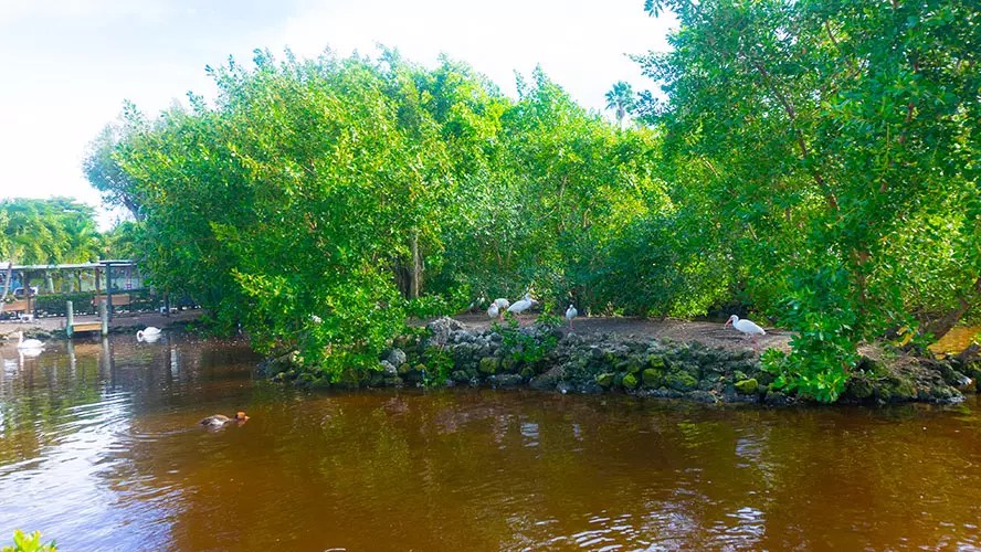 Periwinkle Park Beautiful Sanibel Island Camping