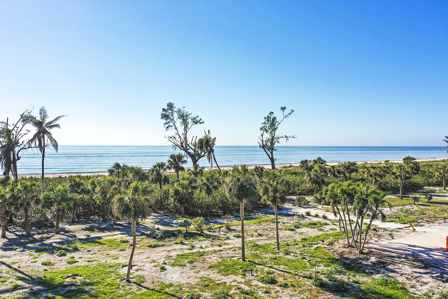 Fabulous February Island Weather Sanibel Scoop & Captiva Chatter