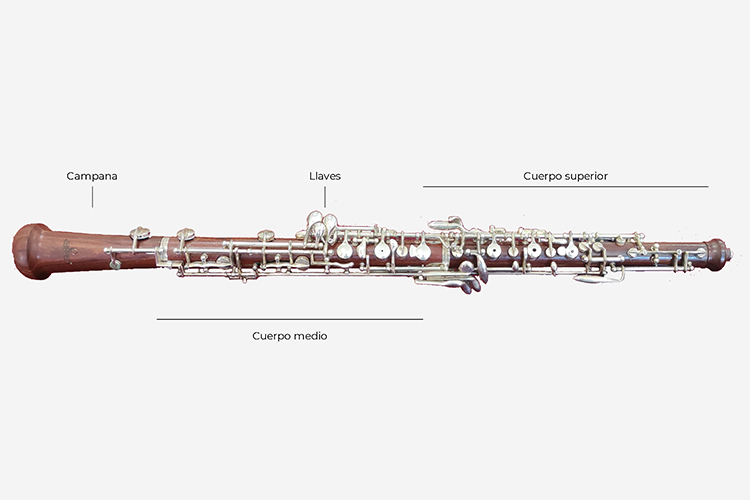 Partes que componen un oboe y su caña Sanimusic