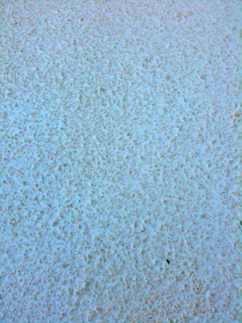 Houseboat Repair and Renovation Boat Waterproofing