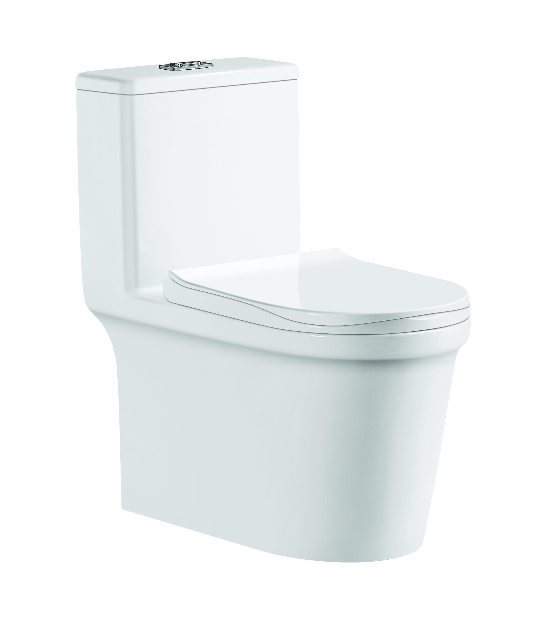 Washdown Onepiece Closet WC2090 Saniware