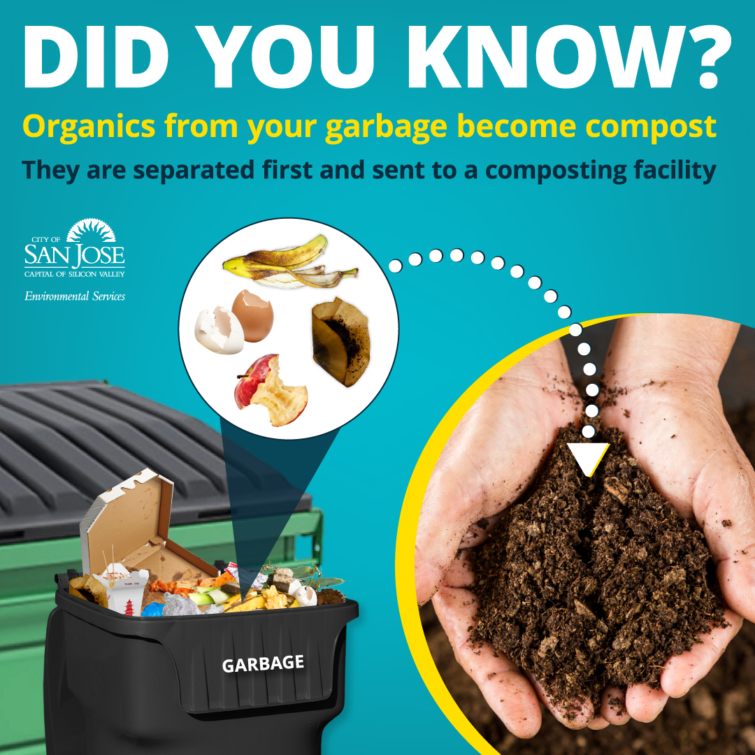 Can I Put Dog Poop In My Compost Bin
