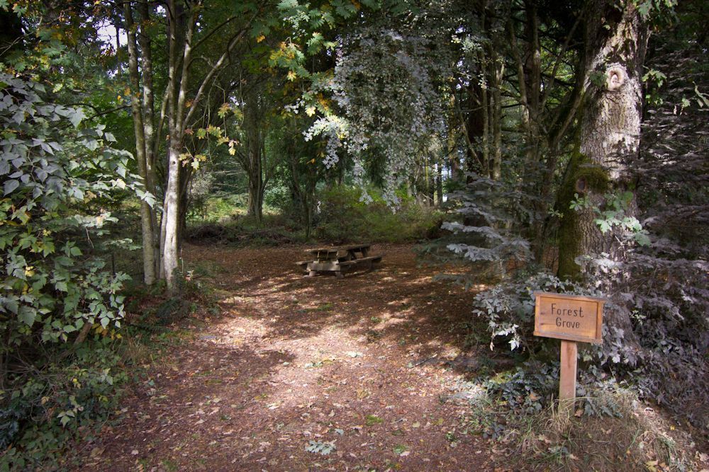 Doe Bay Resort &amp, Retreat Camping