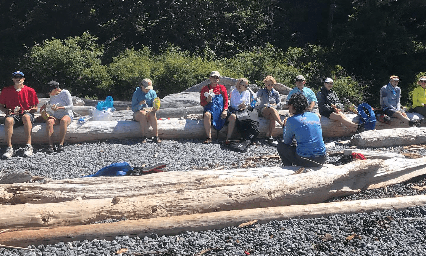 Lime Kiln HalfDay Kayak Tour San Juan Kayak Expeditions
