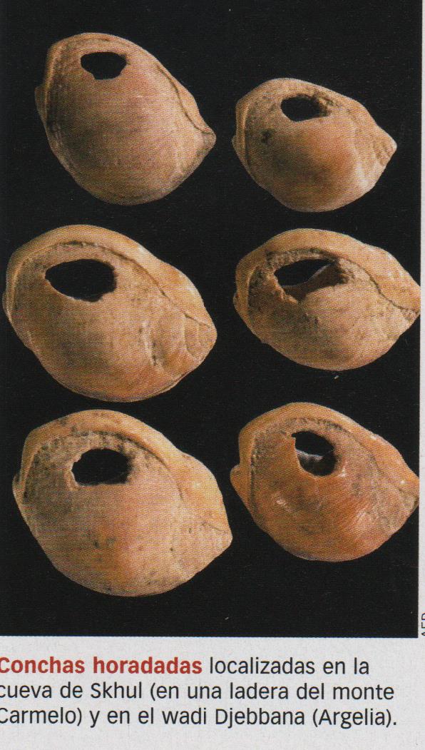 Los collares más antiguos la historia – Prehistoria e Historia