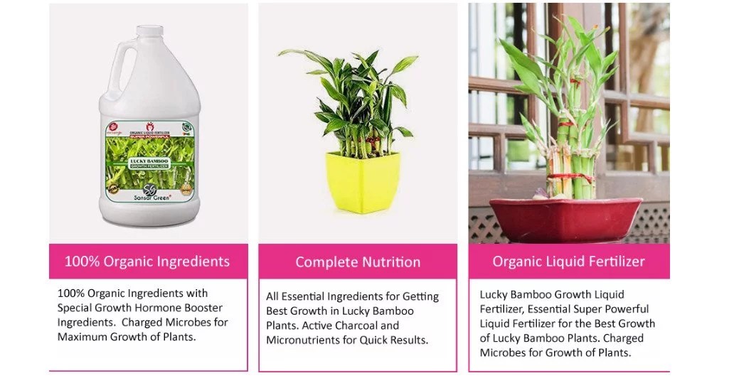 Sansar Green Lucky Bamboo Growth Liquid Fertilizer.