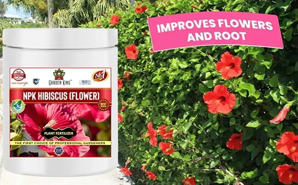 NPK For Hibiscus Flower Sansar Agro Best Fertilizer For Plants