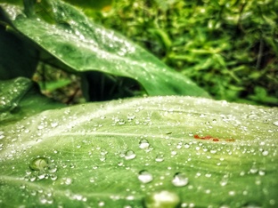 Download hd wallpaper image 24 hd wallpaper