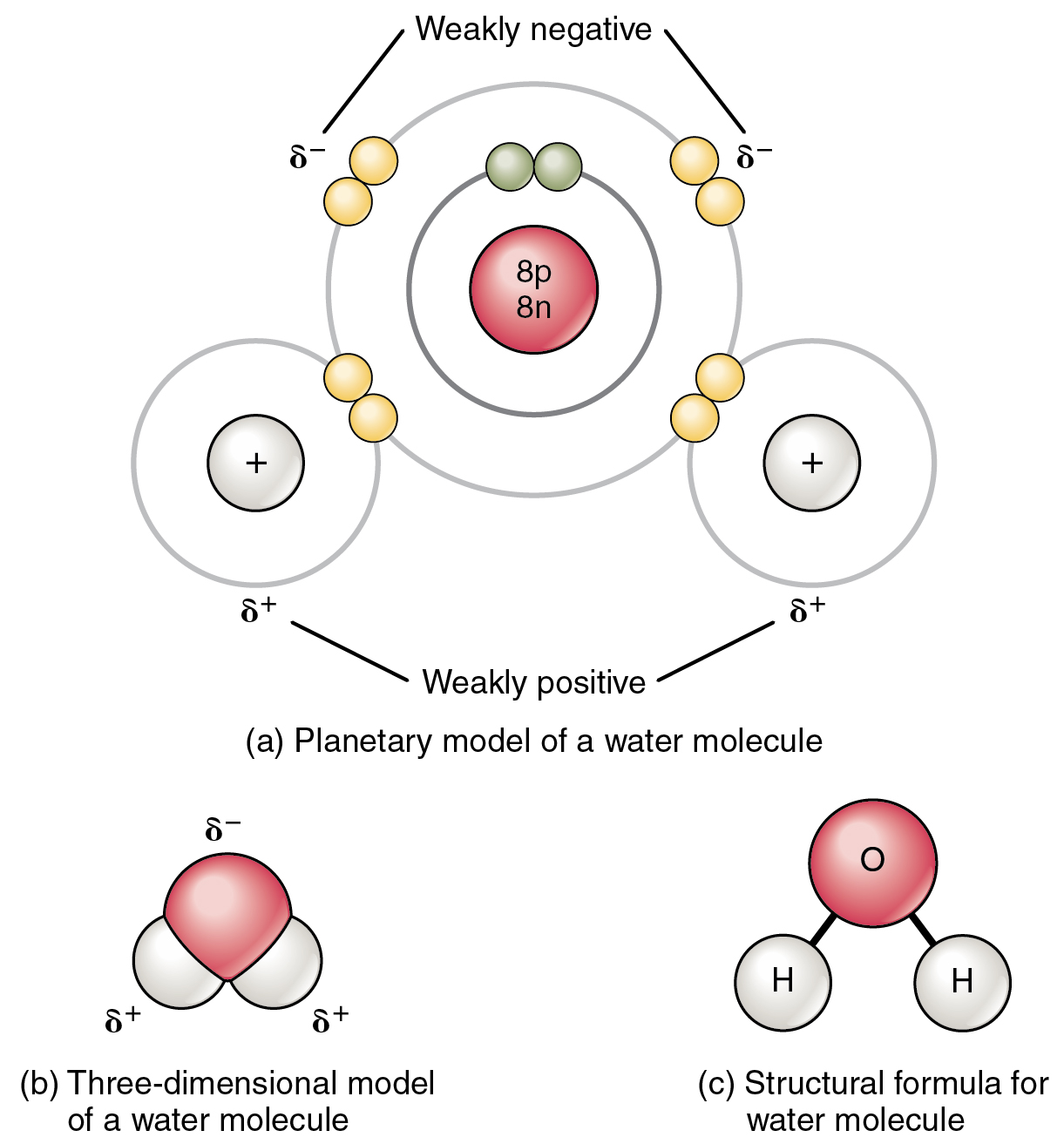 Attractive Forces and Bonds