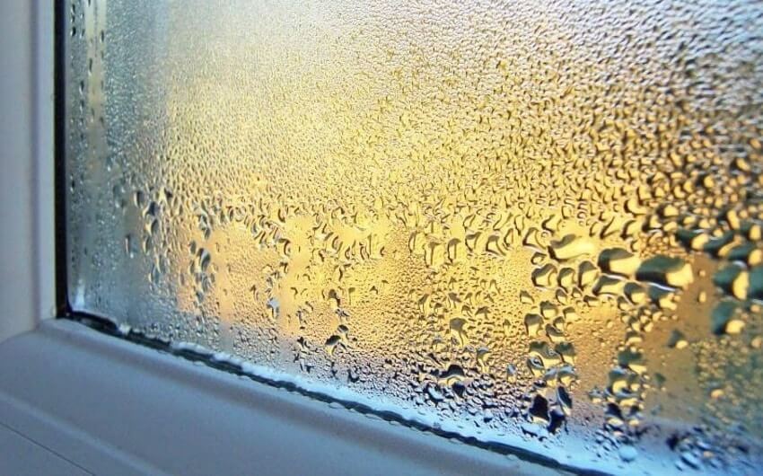 How to Remove Humidity From a House in Florida Sansone