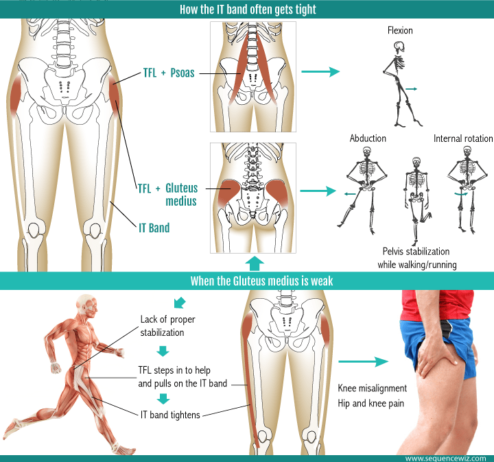 Facts on IT Band (iliotibial) & Massage for the IT Band in Santa