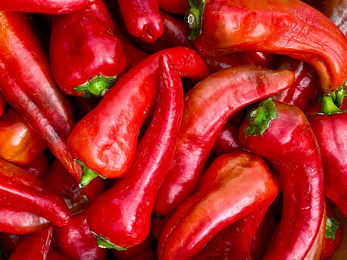 Santa Fe Restaurants Where to Go for Red Chile