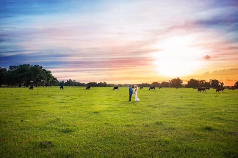 GALLERY Santa Fe River Ranch
