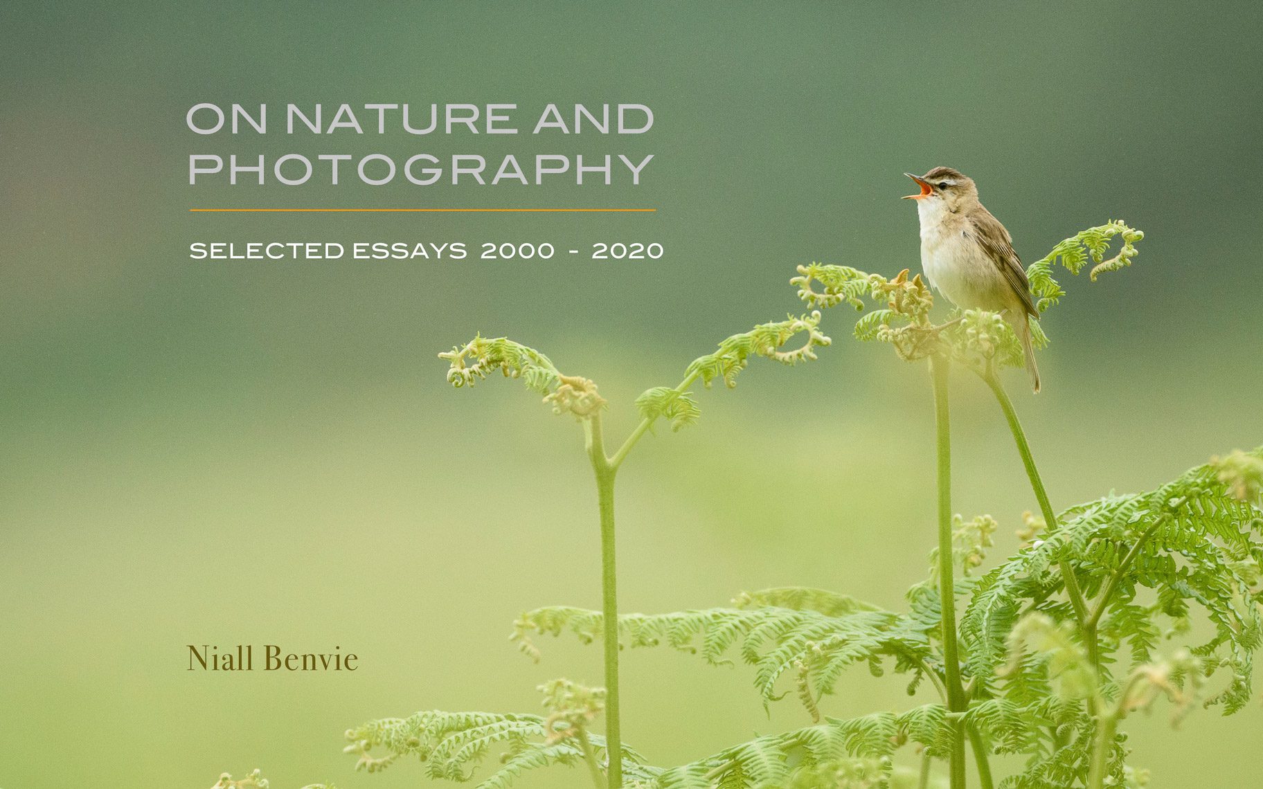 Essential Desktop Publishing Skills for Photographers Santa Fe