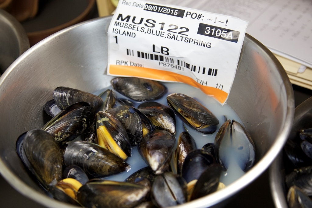 Mussels, Saltspring Island Santa Monica Seafood