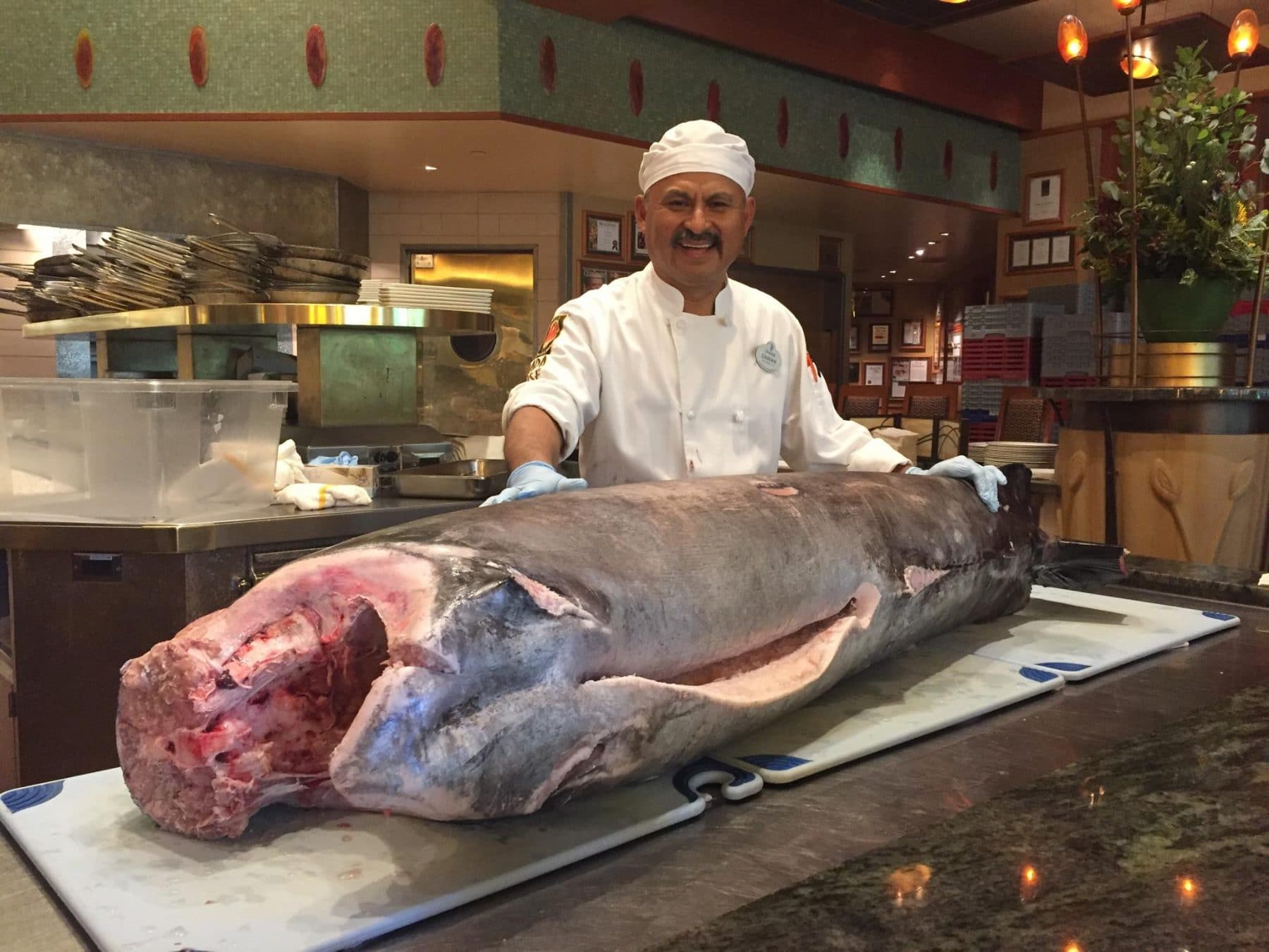 Swordfish (Harpoon Caught) Santa Monica Seafood