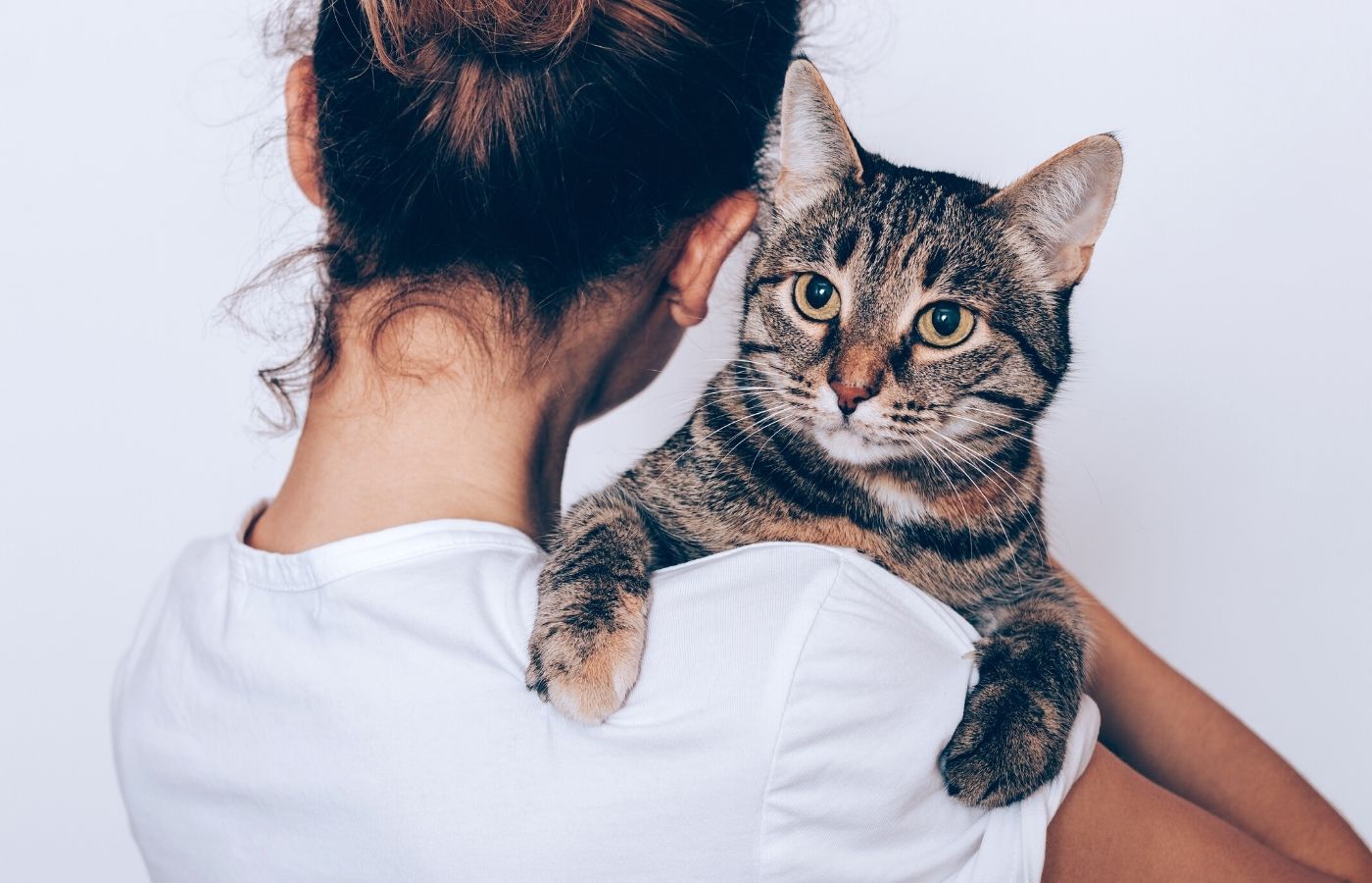 Best Veterinary Hospital in Santa Rosa, CA 95404