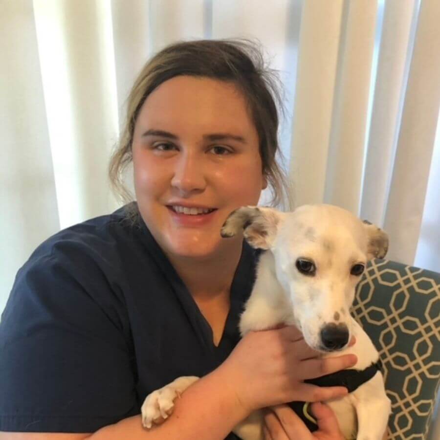 Veterinarian in Santa Rosa, CA Santa Rosa Veterinary Hospital
