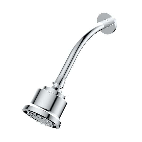 Multifunction Cylindrical Showerhead with Arm and Flange Santec