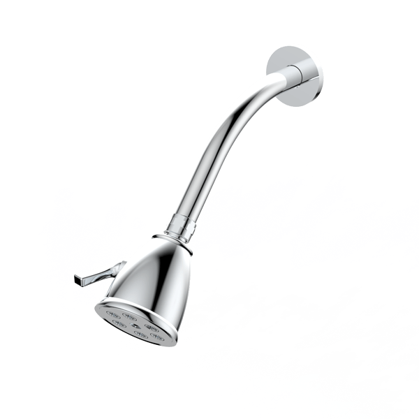 Standard 6 Port Showerhead with Arm and Flange Santec